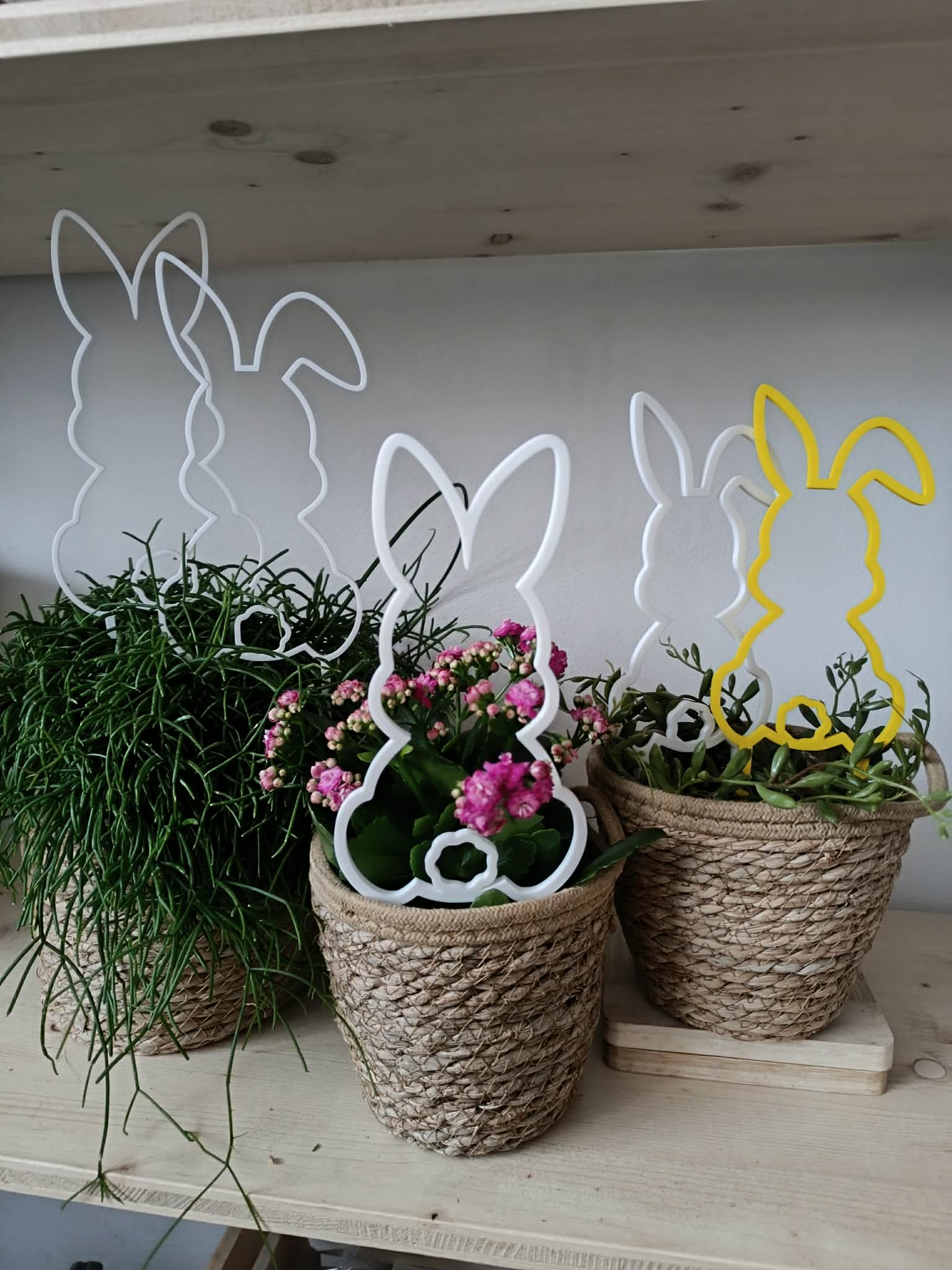 Veľkonočné zajace